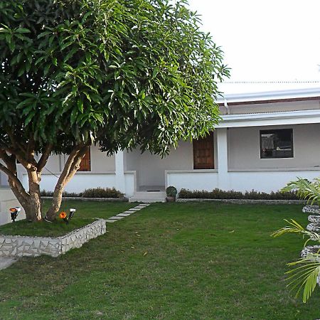 Jasmin'S Room Rental Moalboal Exterior foto